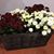 Sherri Lee Hughes's profile image