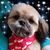Barbara J Bouchard's profile image