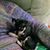 Doug Koschnitzke's profile image