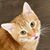 Kathy Lamm Dixon's profile image