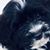 Barbara Koenig's profile image