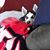 David Whittle's profile image