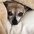 Doreen Schoolman's profile image