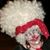 Talitha Roberts's profile image