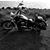 Phillip T. Rodden's profile image