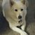 Lisa Owens's profile image