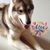 Sherrie M. Apalit's profile image