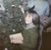 Catherine Anne's profile image