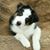 Marcia Costello Warshauer's profile image