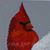 Jennifer Morton's profile image