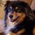 Becky Hayward's profile image