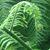 Vicki Trattar's profile image