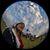 Taci Thompson's profile image
