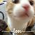 Leyanna Nefes's profile image