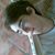 Felipe Oliveira Carvalho's profile image