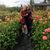 Shelley Knebel's profile image