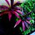 Shanta Fisher's profile image