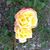 Katrina King's profile image