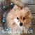 Linda N Ken Anderson's profile image