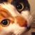 Jennifer Andreasen's profile image