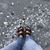 Chiara Cillerai's profile image