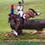 Emily Pestl-Dimmitt's profile image