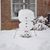 Carol Knuth's profile image