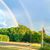Cindy Bowers Connolly's profile image