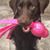 Todd Schwent's profile image