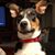 Dorlene Butler's profile image