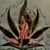 Avelar Ernesto's profile image
