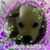 Kathy Moss's profile image