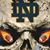 Donnie Upchurch's profile image