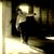 Januar Ciel's profile image
