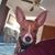 Sandy Robertson's profile image
