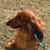 Bill Garlette's profile image
