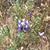 Heather Tanner Nevarez's profile image