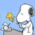 Jacki Moss's profile image