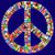 Amber Tariq Javed's profile image
