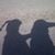 Amy Whitt Knight's profile image