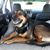 Lynn M Chrostowski's profile image