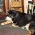 Maggi Bramhall's profile image