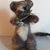 Joellyn Burtt Cobb's profile image