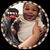 Amy Jo Morseau's profile image