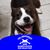 Lisa K. Hutchinson's profile image