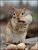 Florine V.'s profile image