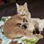 Darcy Lennon Searle's profile image