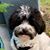 Linda Whitfield Babcock's profile image
