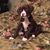 Karen Kirkpatrick's profile image