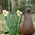 Michelle Smith Unroe's profile image